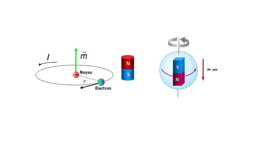 Which Is The Magnetic Moment Magnet Blog Information IMA